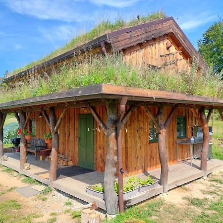 Chalet Boruvka - Biofarma Na Samote V Lesich Benesov  Luaran gambar