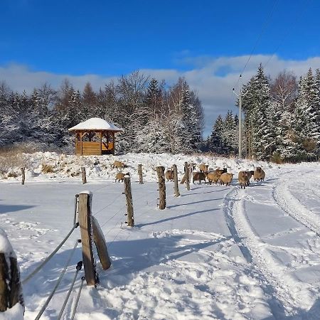 Chalet Boruvka - Biofarma Na Samote V Lesich Benesov  Luaran gambar