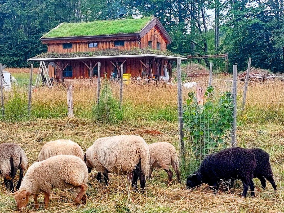 Chalet Boruvka - Biofarma Na Samote V Lesich Benesov  Luaran gambar