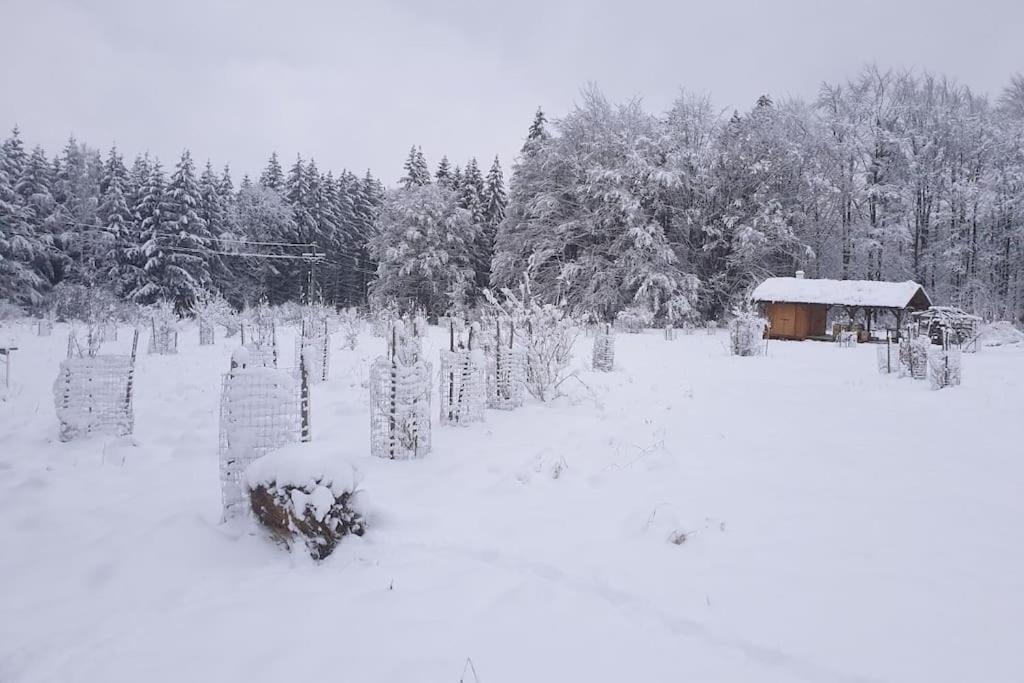 Chalet Boruvka - Biofarma Na Samote V Lesich Benesov  Luaran gambar