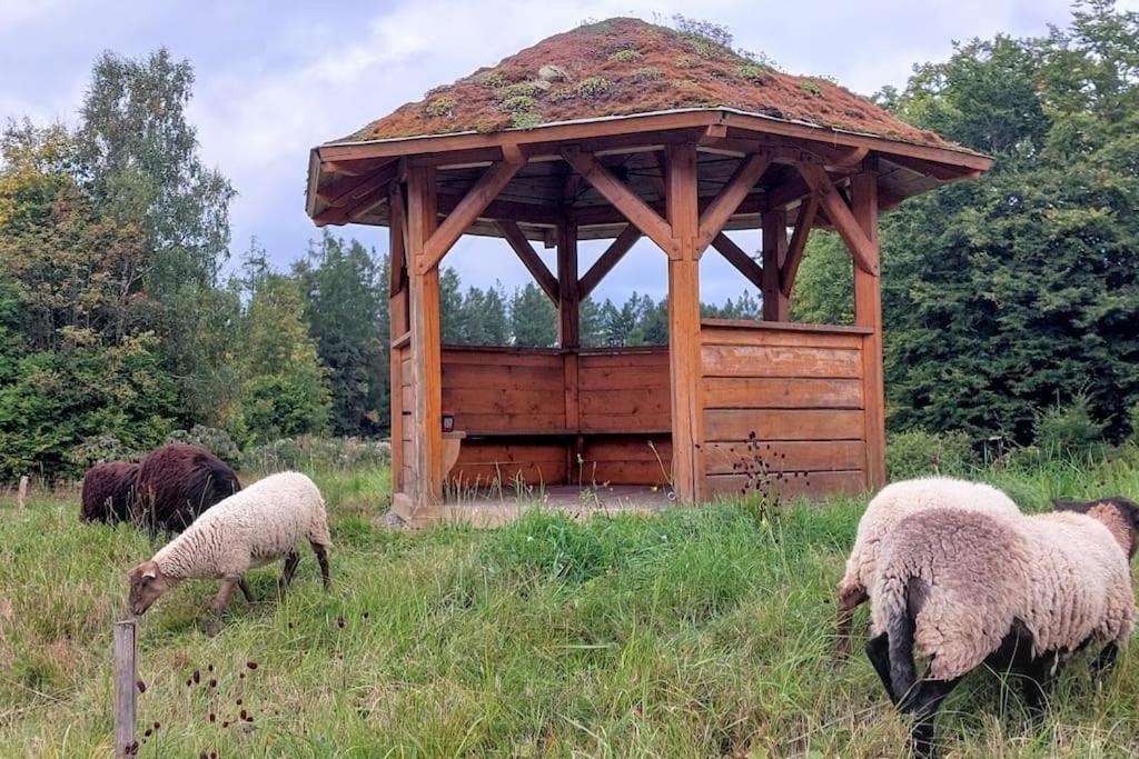 Chalet Boruvka - Biofarma Na Samote V Lesich Benesov  Luaran gambar
