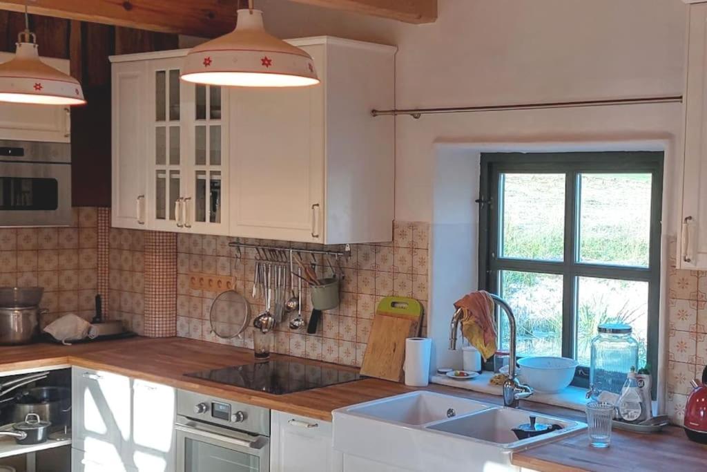 Chalet Boruvka - Biofarma Na Samote V Lesich Benesov  Luaran gambar