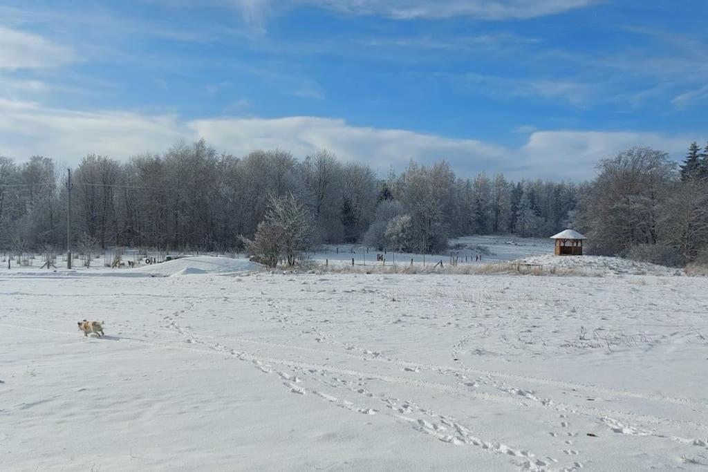 Chalet Boruvka - Biofarma Na Samote V Lesich Benesov  Luaran gambar