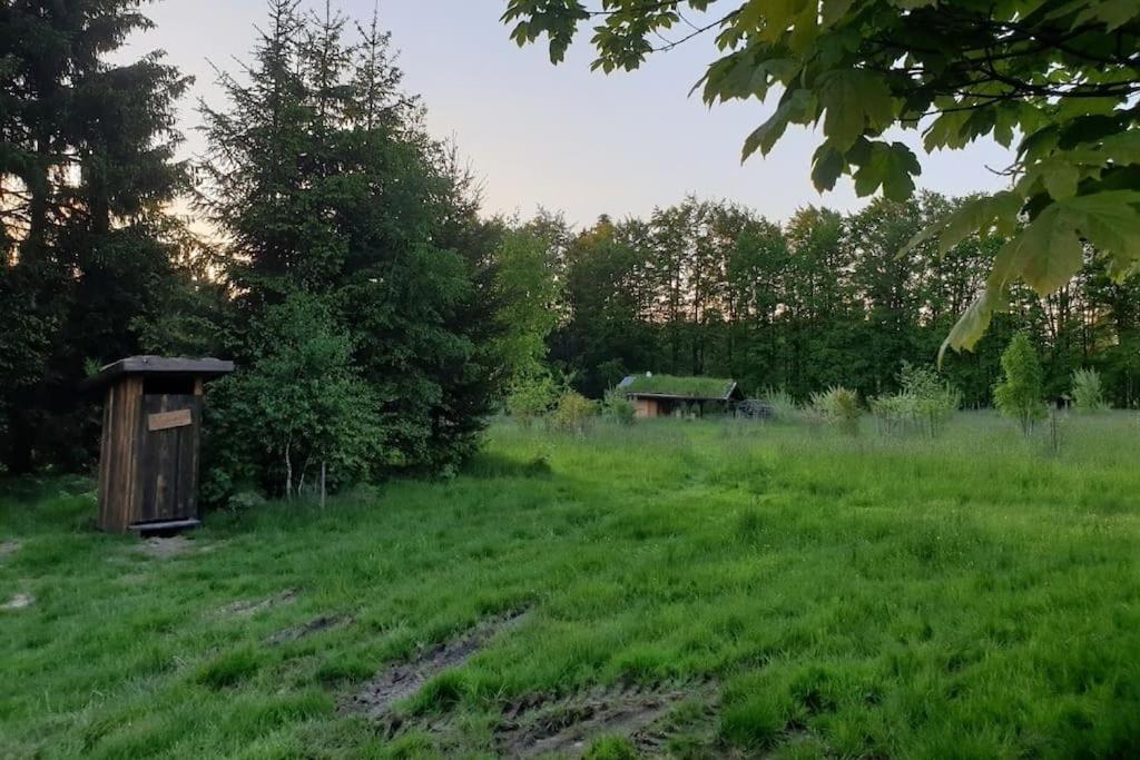 Chalet Boruvka - Biofarma Na Samote V Lesich Benesov  Luaran gambar