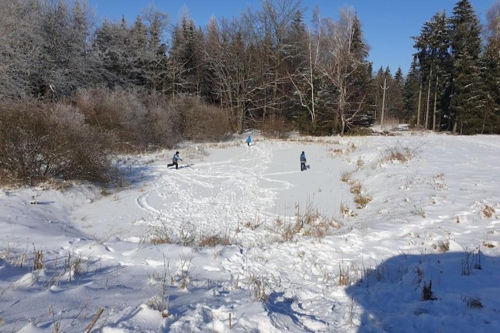Chalet Boruvka - Biofarma Na Samote V Lesich Benesov  Luaran gambar