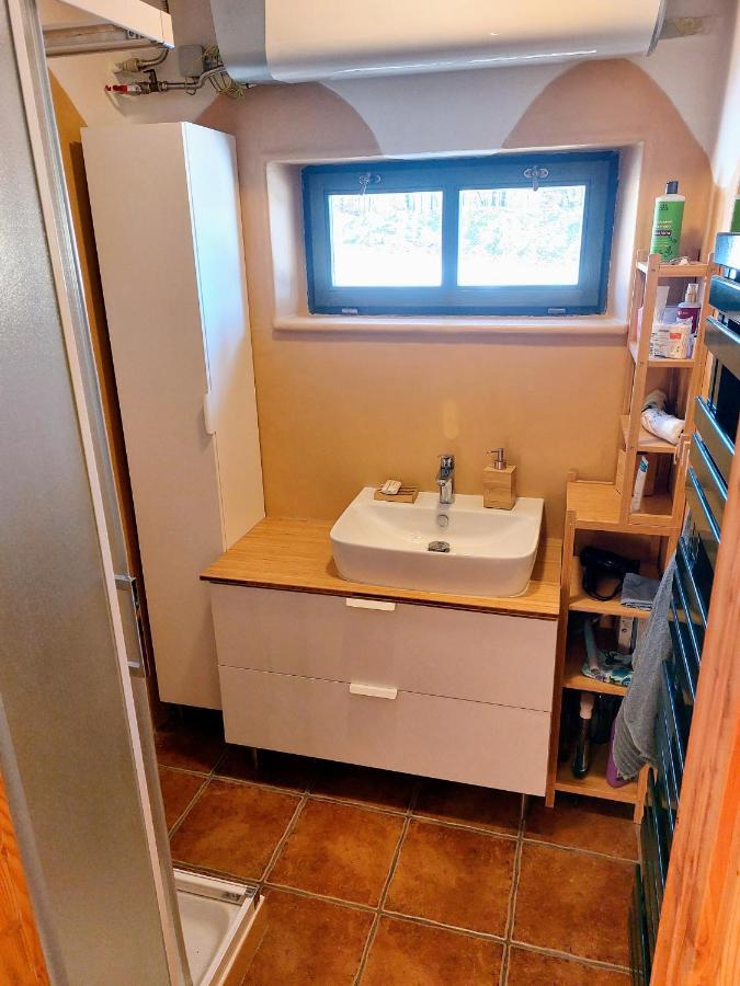 Chalet Boruvka - Biofarma Na Samote V Lesich Benesov  Luaran gambar