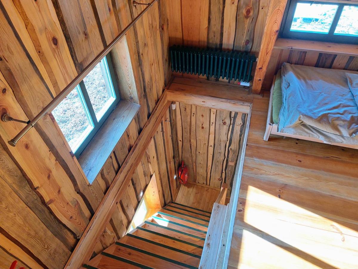 Chalet Boruvka - Biofarma Na Samote V Lesich Benesov  Luaran gambar