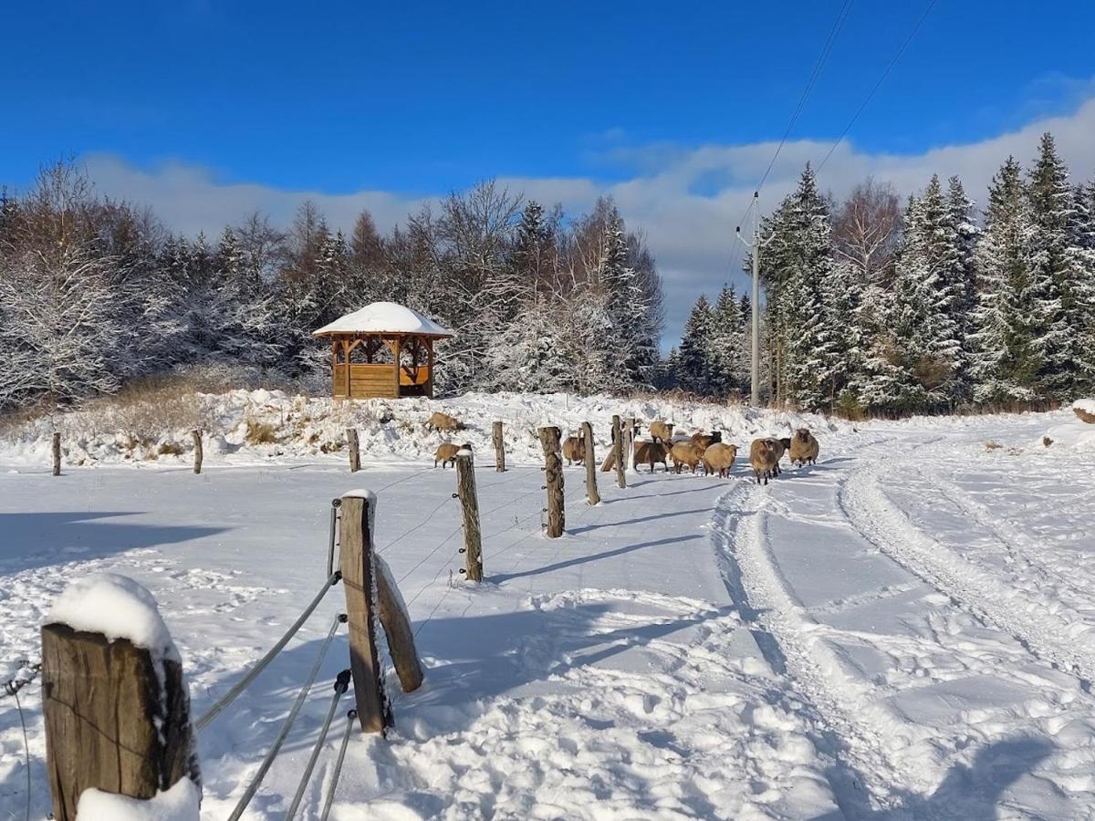 Chalet Boruvka - Biofarma Na Samote V Lesich Benesov  Luaran gambar